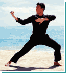 Tai Chi